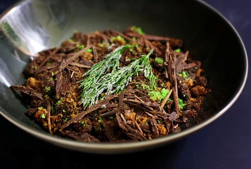 Chocolate marquise “forest floor”
