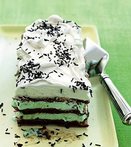 Chocolate meringue and mint chip ice cream cake