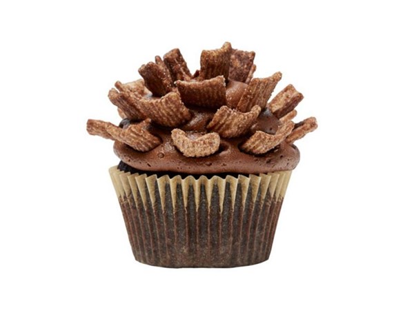 Chocolate-orange pinecone cupcakes 