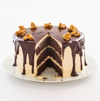 Chocolate-peanut butter cake