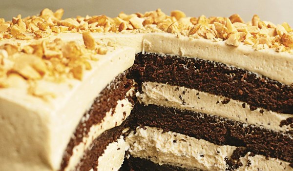 Chocolate peanut butter cake
