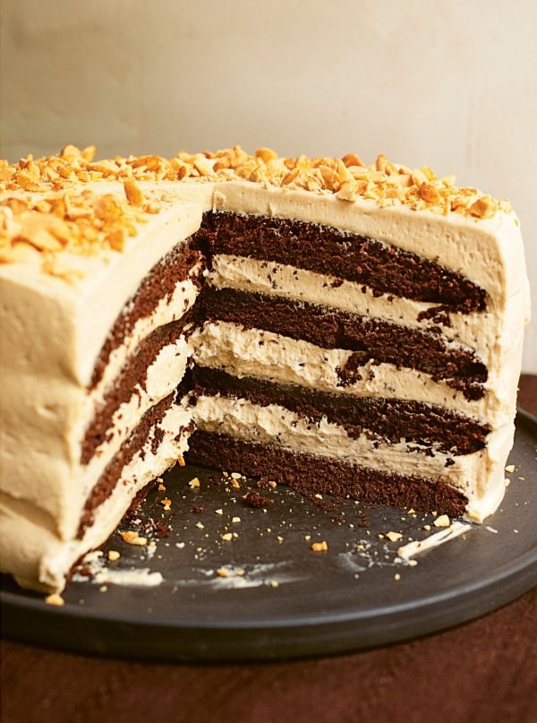 Chocolate peanut butter cake