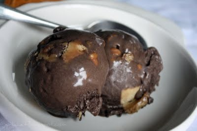 Chocolate peanut butter cookies dough ice cream