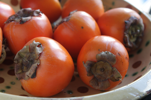 Chocolate persimmon muffins