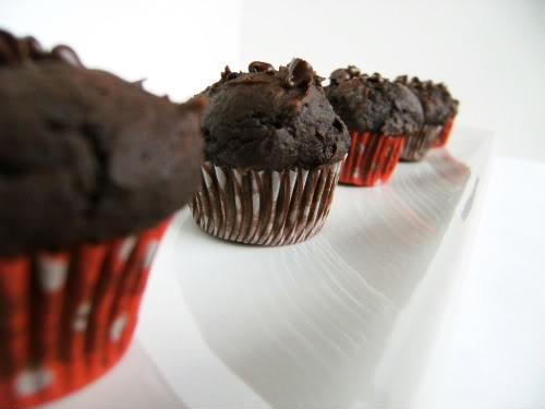 Chocolate pumpkin mini-muffins