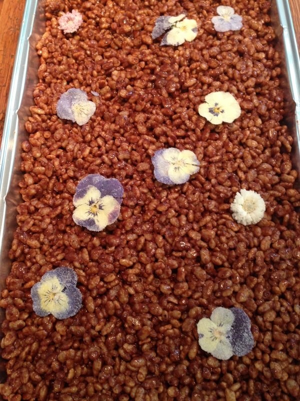 Chocolate Rice Krispie squares