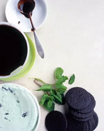Chocolate-sauce grasshopper sundaes