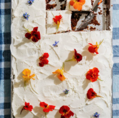 Chocolate spice sheet cake