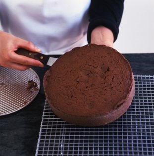 Chocolate sponge cake