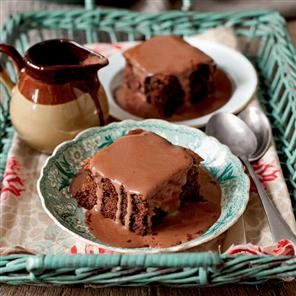 Chocolate sponge with chocolate custard