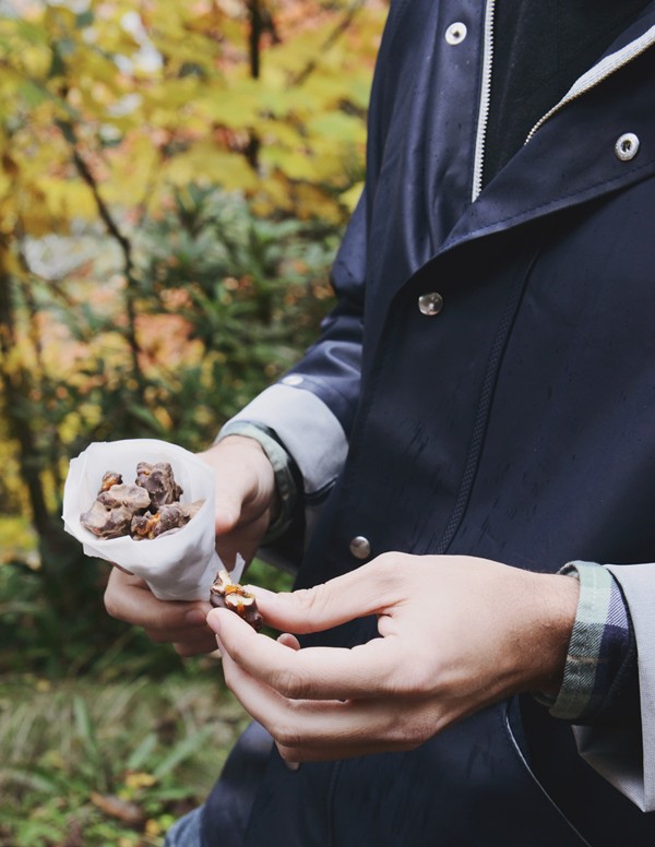 Chocolate toffee walnuts
