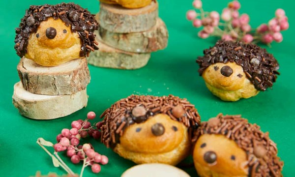 Choux hedgehogs