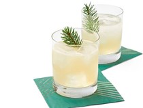 Christmas tree sours
