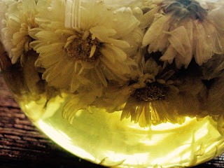 Chrysanthemum tea (Hángzhōu júhuāchá / 杭州菊花茶)