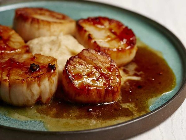 Cider-glazed seared scallops with cauliflower puree