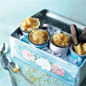 'Cider lolly' granita with chocolate biscuit sticks