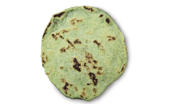 Cilantro-flavored flour tortillas (Tortillas de harina con cilantro)