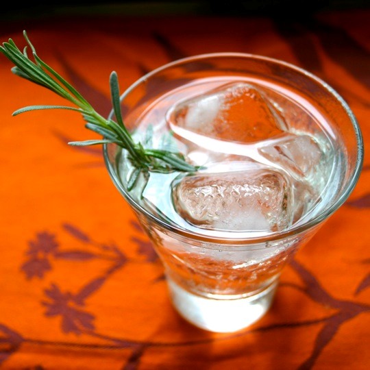 Cilantro-lime gin and tonic