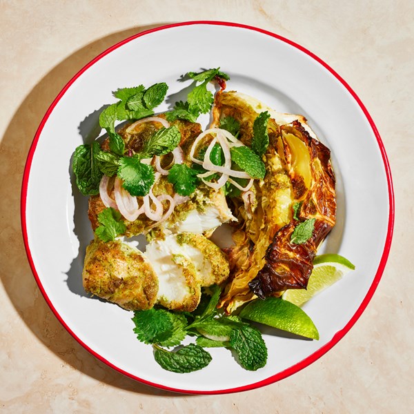 Cilantro roast cod and cabbage with herb salad 