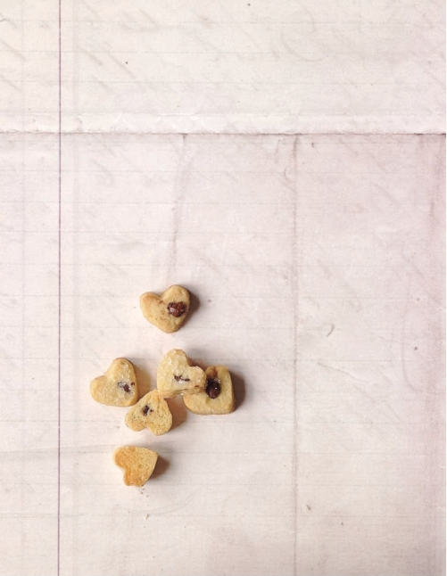 Cinnamon chocolate chip sandies