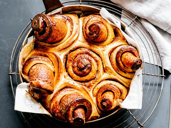 Cinnamon roses