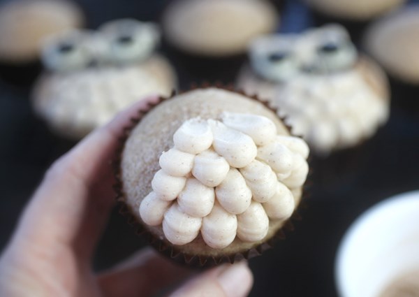 Cinnamon sugar cupcakes