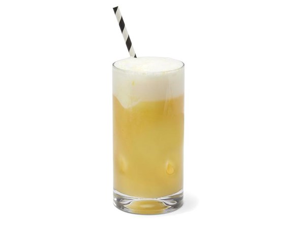 Citrus beer float