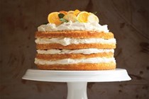 Citrus cake