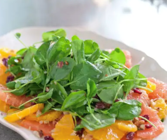 Citrus salad with watercress, dried cranberries, and pecans