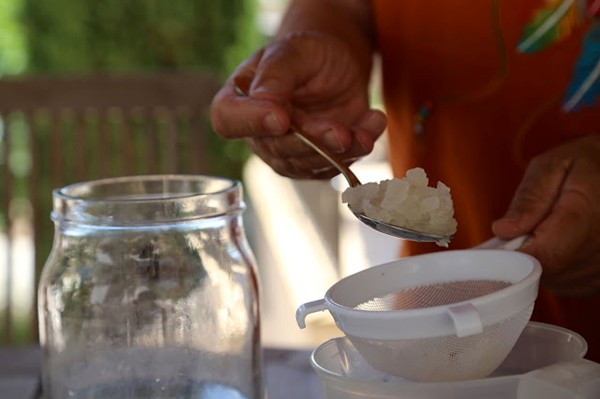 Citrus water kefir