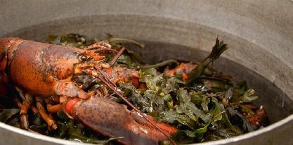 Clambake in a pot