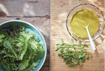 Clammy goosefoot forager's salad dressing 