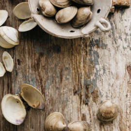 Clams and clam broth