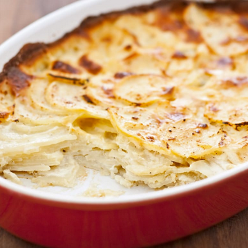 Classic potato gratin