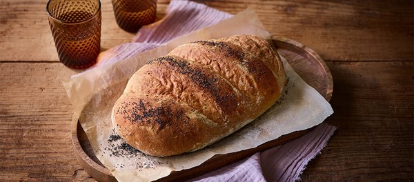 Classic white bloomer 