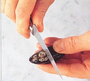 Cleaning mussels
