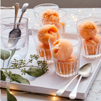 Clementine and Campari sorbet 