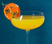 Clementine gimlet