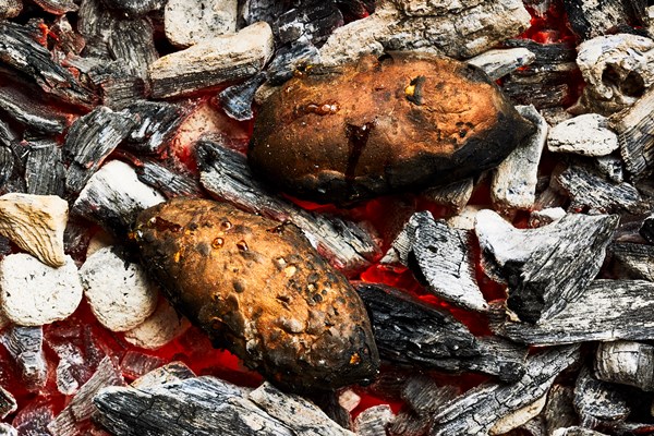 Coal-roasted sweet potatoes