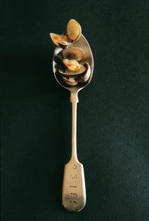 Cockles in butter sauce (Coques au beurre blanc)
