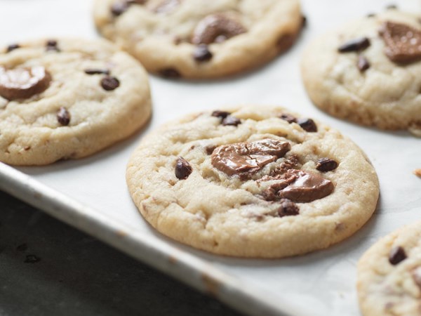 Cocoa butter cookies with chocolate chips 