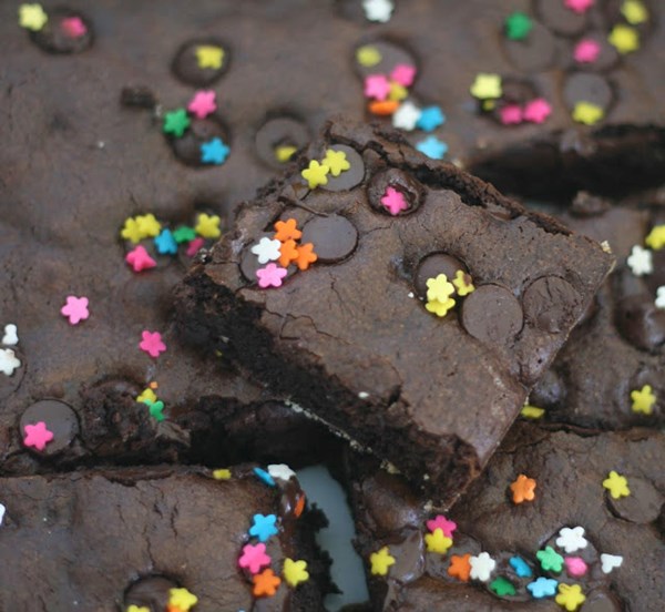 Cocoa chocolate chip brownies