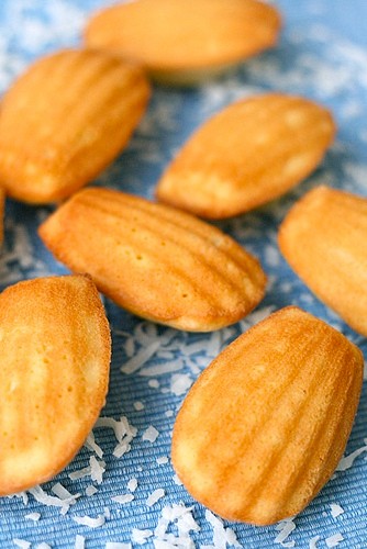 Coconut madeleines