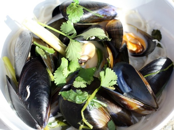 Coconutty mussels with ginger, lemongrass, chili, and cilantro on rice noodles