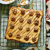 Coffee and walnut traybake