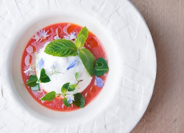 Cold tomato gazpacho with peach sorbet, lemon verbena cannellini cream and herbs