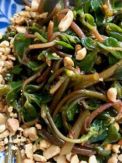 Cold tossed purslane Sichuan style (Chuānshì măchĭxiàn / 川式馬齒莧)