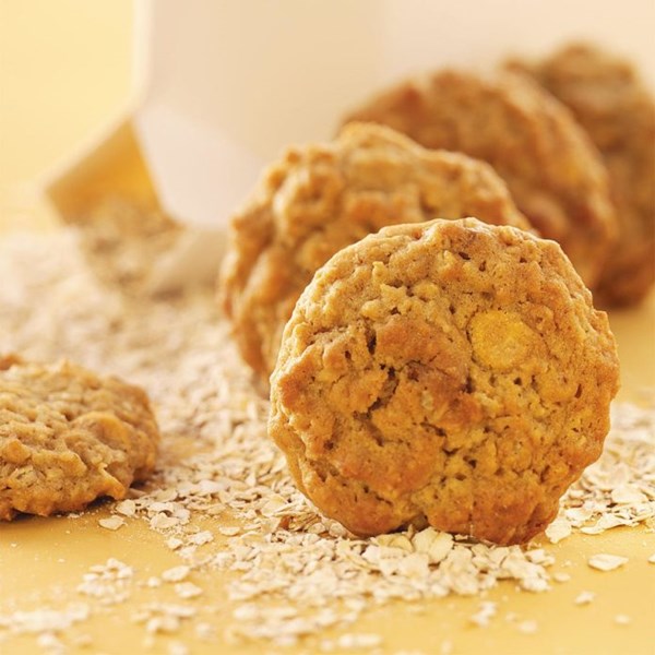 Colossal batch of oatmeal cookies