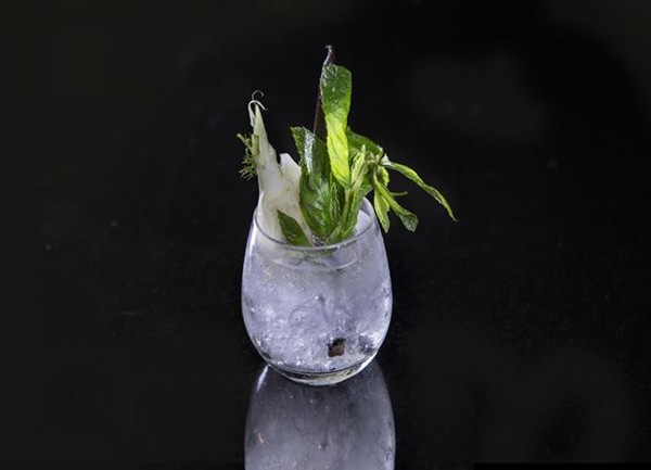 Compressed fennel gin, vanilla and lemon balm tonic