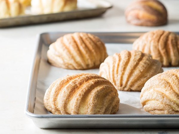 Conchas